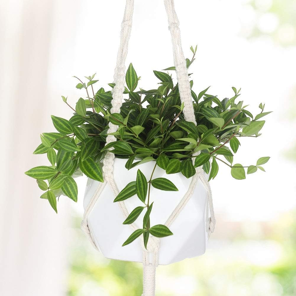 3 Pack Macrame Plant Hanger with 3 Hooks, Different Size Hanging Planters for Indoor Plants Holder for Boho Home Decor,Ivory